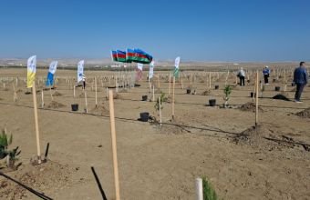 Azad edilmiş ərazilərdə 132 hektar yaşıllıq sahəsi salınıb