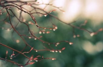 Azərbaycanda müşahidə olunan güclü yağıntının səbəbi açıqlanıb