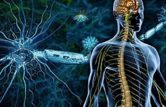 Azərbaycanda qeydiyyatda olan dağınıq skleroz xəstələrinin sayı açıqlanıb