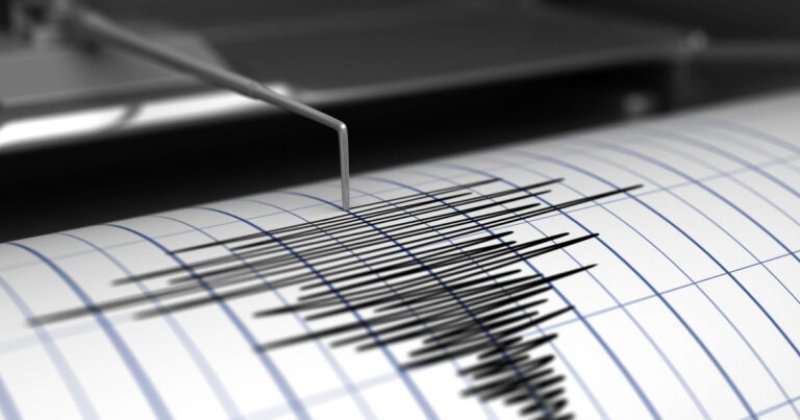 Bu il qeydə alınan zəlzələlər və palçıq vulkanlarının sayı açıqlanıb