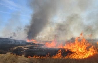 Əkin yerini məhsul yığımından sonra yandırmağın məsuliyyəti varmı? -