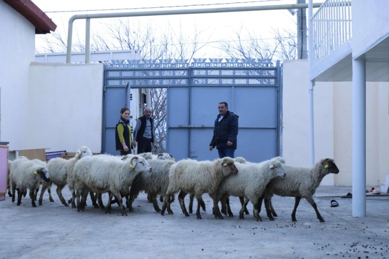 Laçın, Xocalı, Ağdərə və Xocavənddə yeni kiçik ailə biznesləri yaradılıb