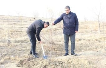 Naxçıvan İqtisadiyyat Nazirliyi tərəfindən ağacəkmə aksiyası keçirilib -