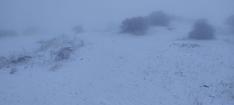 Naxçıvan Muxtar Respublikasının yüksək dağlıq ərazilərinə qar yağmağa davam edir