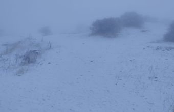Naxçıvan Muxtar Respublikasının yüksək dağlıq ərazilərinə qar yağmağa davam edir