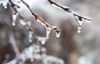 Naxçıvanda 9°-dək şaxta olub