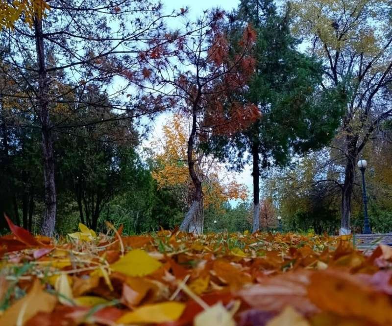 Naxçıvanda hava şəraiti əsasən yağmursuz olub