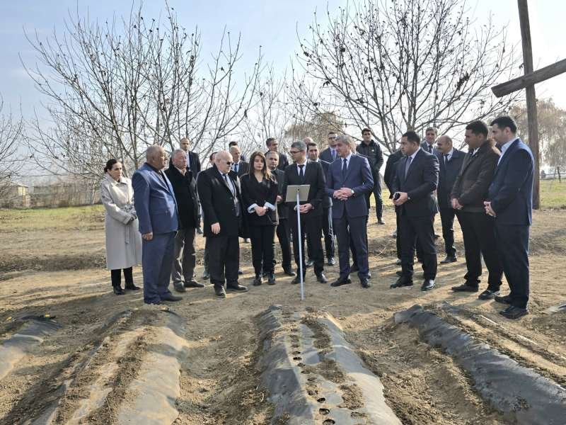 Naxçıvanda ilk dəfə innovativ texnologiyaların tətbiq edildiyi tingçilik sahələri və kolleksiya meyvə bağı yaradılıb