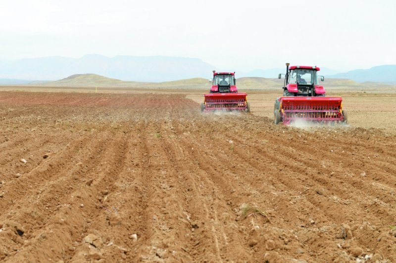 Naxçıvanda kənd təsərrüfatının istehsal həcmi açıqlanıb
