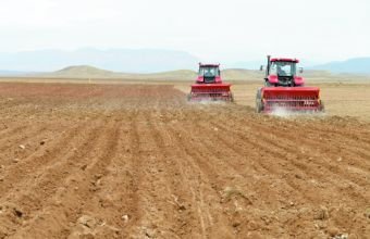 Naxçıvanda kənd təsərrüfatının istehsal həcmi açıqlanıb