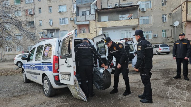 Naxçıvanda külli miqdarda narkotik vasitə məhv edilib