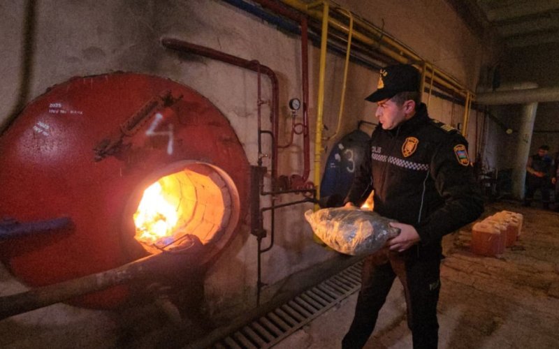 Naxçıvanda narkotik vasitələr məhv edilib