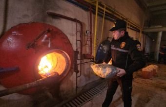 Naxçıvanda narkotik vasitələr məhv edilib