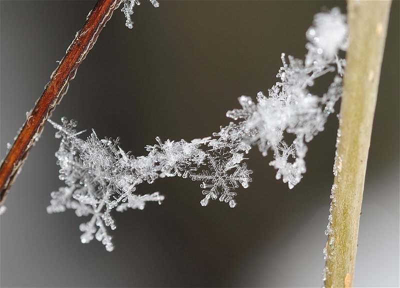 Naxçıvanda və rayonlarında yağıntılı hava şəraiti qeydə alınıb