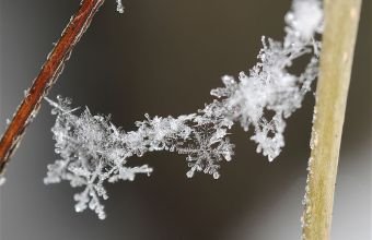 Naxçıvanda və rayonlarında yağıntılı hava şəraiti qeydə alınıb