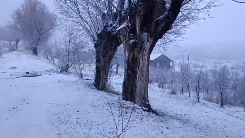 Naxçıvanın dağlıq ərazilərində qarın hündürlüyü 29 sm-ə çatıb