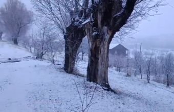 Naxçıvanın dağlıq ərazilərində qarın hündürlüyü 29 sm-ə çatıb