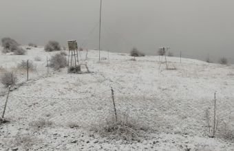 Naxçıvanın dağlıq ərazilərinə qar yağır