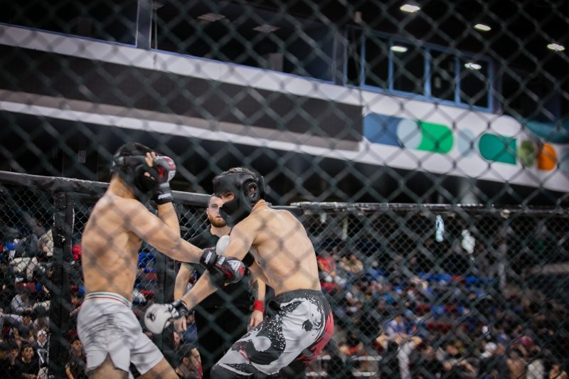 Naxçıvanlı idmançılar “Legion Döyüş Liqası”nda 35 medal qazanıb -