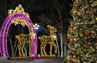 Nazirlikdən Yeni illə bağlı əhaliyə -