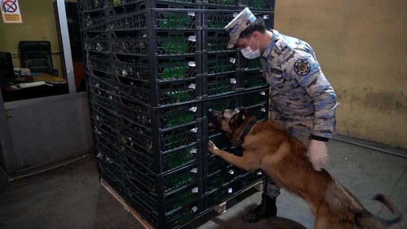 Növbəti dəfə xüsusilə külli miqdarda narkotik vasitə aşkar edildi -