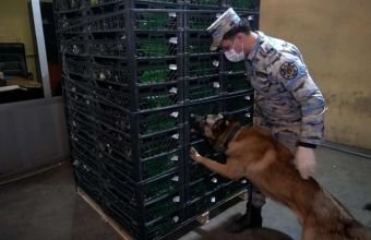 Növbəti dəfə xüsusilə külli miqdarda narkotik vasitə aşkar edildi -