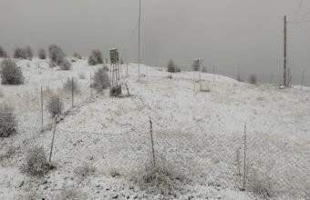 Ordubadın yüksək dağlıq ərazilərində qarın hündürlüyü 25 sm-ə çatıb