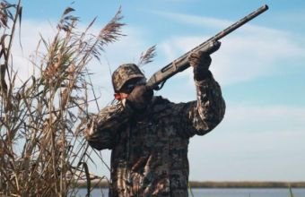 Sabahdan Azərbaycanda ov mövsümü açılır