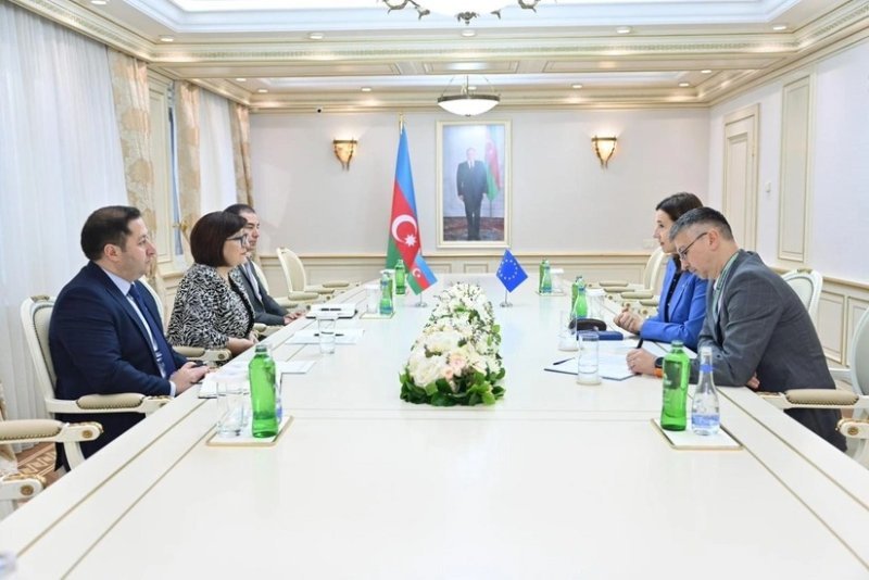Sahibə Qafarova Aİ-nin Azərbaycandakı nümayəndəliyinin rəhbəri ilə görüşüb