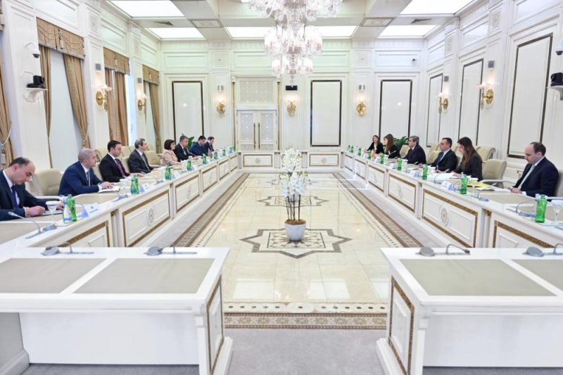 Sahibə Qafarova Monteneqro Baş nazirinin müavini ilə görüşüb