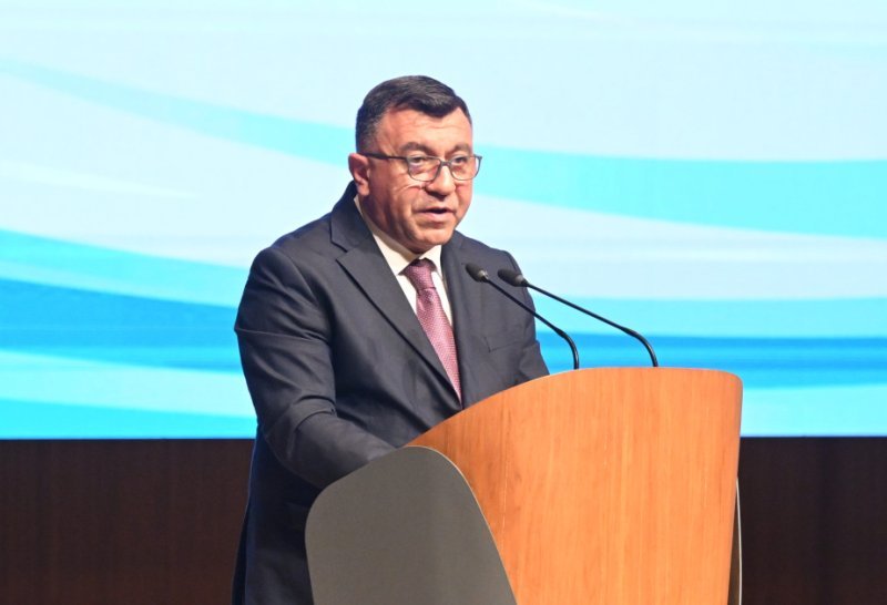 Səməd Bəşirli: Qarabağ, Şərqi Zəngəzur və Naxçıvanda yaşıl enerji üçün infrastruktur yenilənir