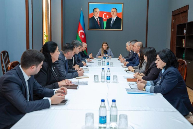 Ali Məclisin Sosial siyasət və Hüquq siyasəti  komitələrinin iclasları keçirilib