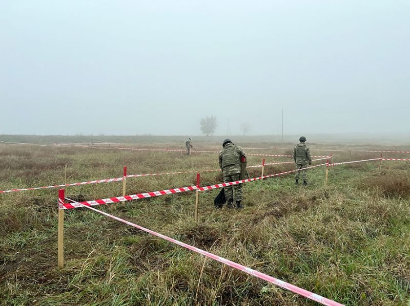 Azad edilmiş ərazilərdə ötən il nə qədər mina aşkarlanıb?
