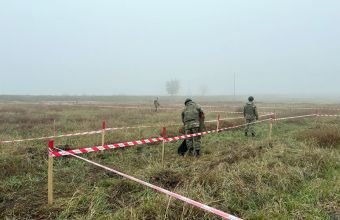 Azad edilmiş ərazilərdə ötən il nə qədər mina aşkarlanıb?