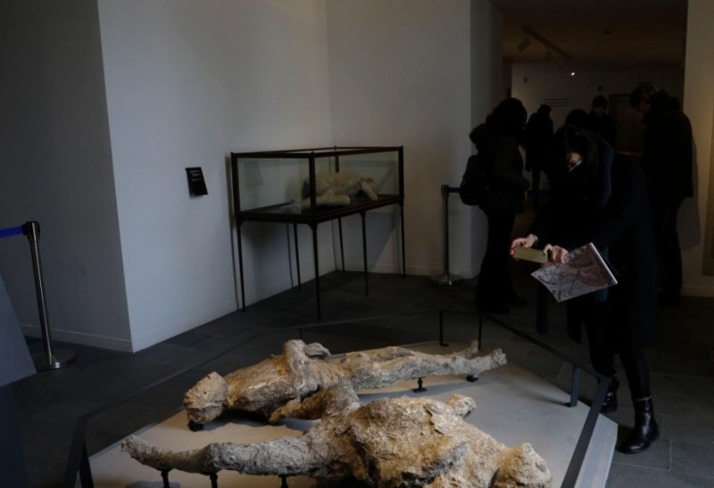 Son 22 ildə 36 eksponat xaricdən Azərbaycana geri qaytarılıb