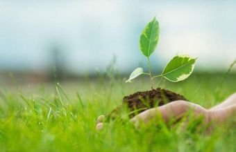 Azərbaycan ətraf mühitin mühafizəsi xərclərini 3 % artırıb