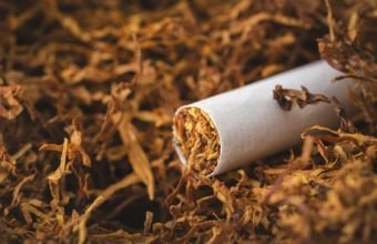 Azərbaycan tütün ixracından qazancını təxminən 12 % artırıb