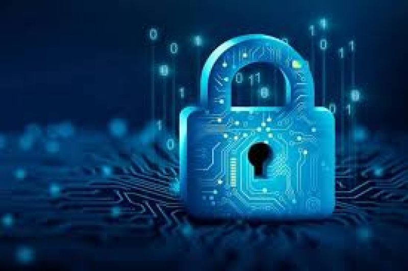 Təhlükəsizlik boşluqları aşkarlanmış dövlət informasiya resurslarının sayı artıb