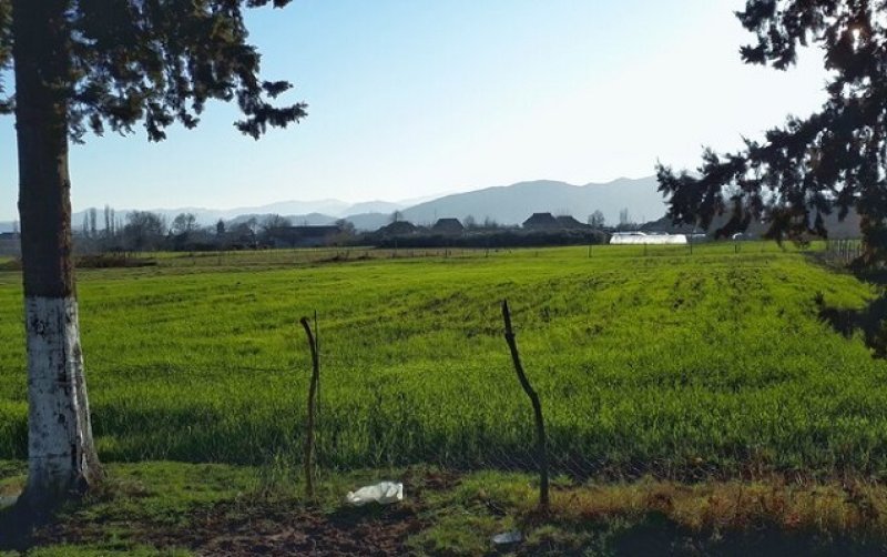 Kənd təsərrüfatı təyinatlı torpaqda ev tikməyin məsuliyyəti varmı? -