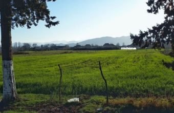 Kənd təsərrüfatı təyinatlı torpaqda ev tikməyin məsuliyyəti varmı? -