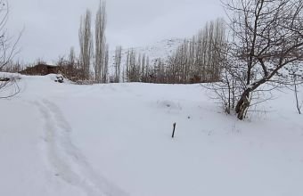 Muxtar respublikanın bəzi ərazilərində qar örtüyü müşahidə olunur