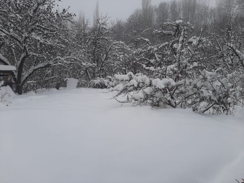 Naxçıvan Muxtar Respublikasının bir sıra ərazilərində zəif qar müşahidə olunur