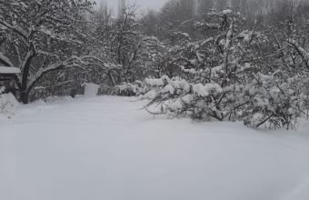 Naxçıvan Muxtar Respublikasının bir sıra ərazilərində zəif qar müşahidə olunur