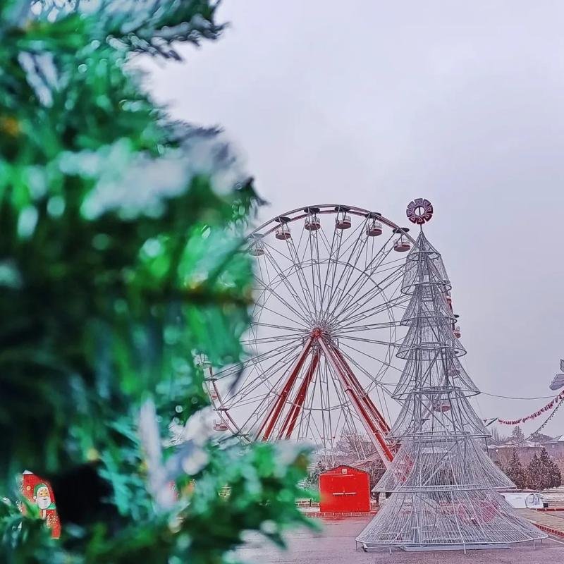 Naxçıvanda həftəlik hava proqnozu açıqlanıb