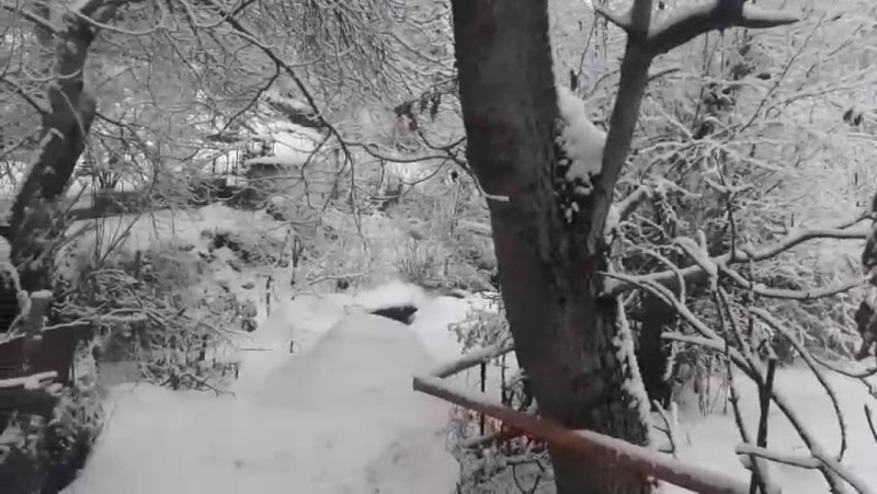 Naxçıvanın dağlıq ərazilərində qar yağır, bəzi rayonlarda duman var