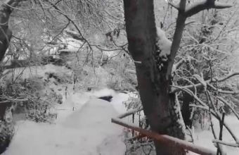 Naxçıvanın dağlıq ərazilərində qar yağır, bəzi rayonlarda duman var