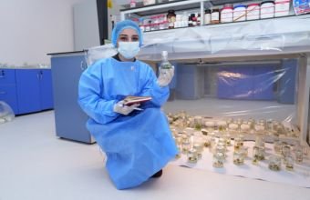 NDU-nun Biotexnologiya Mərkəzi yeni dövrə qədəm qoyur: İn-Vitro bitki artırma laboratoriyası gələcəyin mütəxəssislərini yetişdirir -