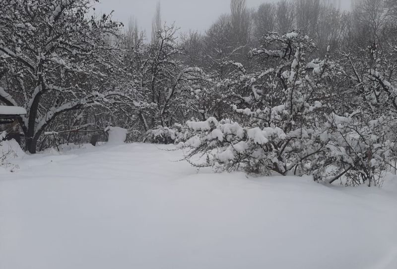 Şahbuzda qarın hündürlüyü yarım metrə çatıb, dağlıq rayonlarda 20 dərəcə şaxta olub