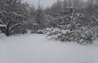 Şahbuzda qarın hündürlüyü yarım metrə çatıb, dağlıq rayonlarda 20 dərəcə şaxta olub