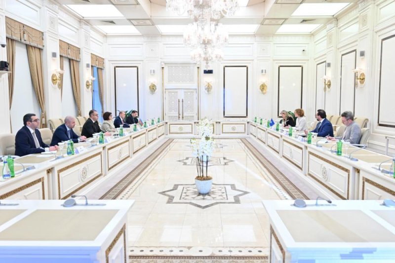 Sahibə Qafarova NATO Baş katibinin müavini ilə görüşdü